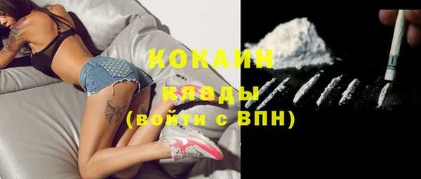 прущие грибы Балахна