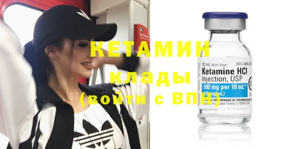 прущие грибы Балахна