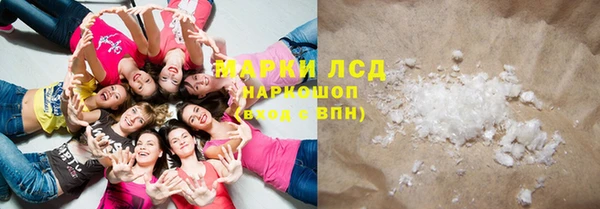прущие грибы Балахна