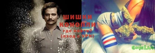 ПСИЛОЦИБИНОВЫЕ ГРИБЫ Балабаново
