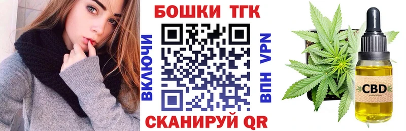 Бошки марихуана THC 21%  Купить  Котлас 